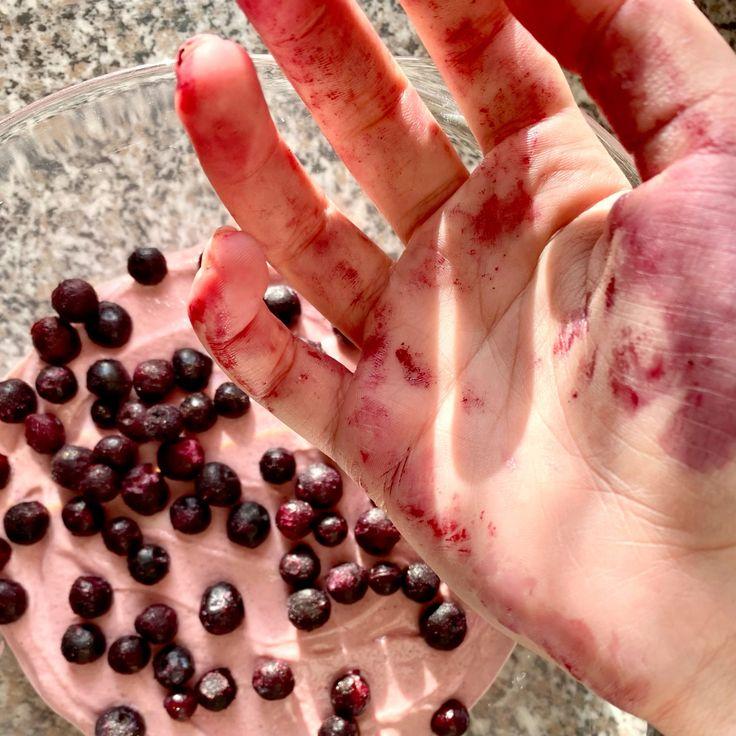Wholesome Harvest: Countryside Berry Medley