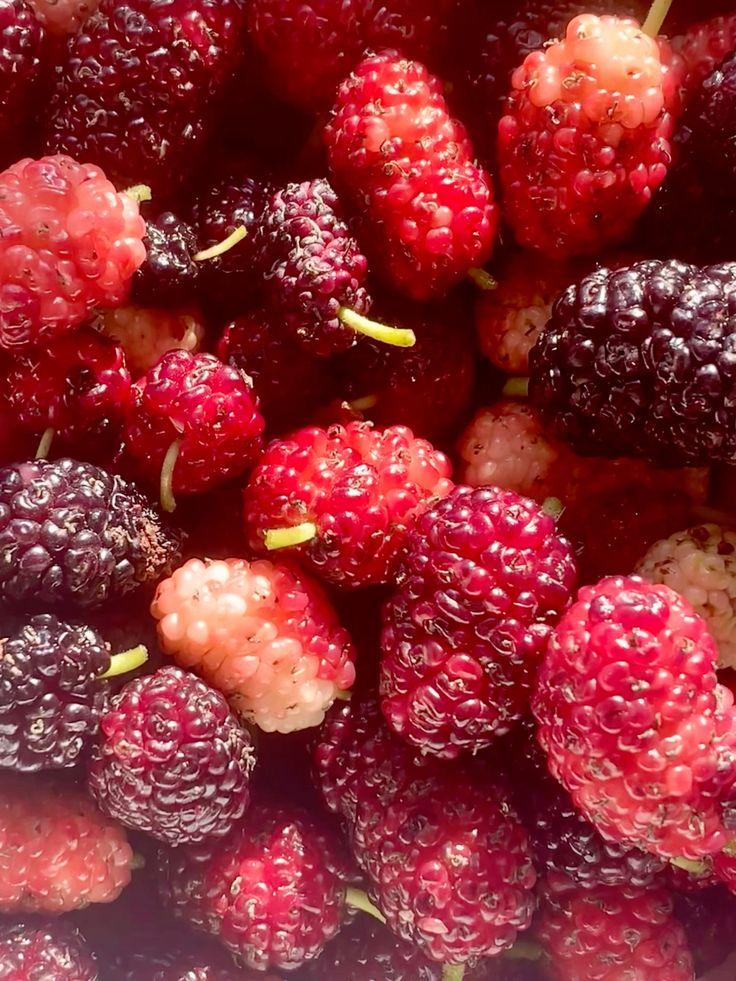 Sun-Kissed Delights: Seasonal Berry Mixture